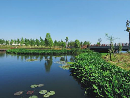 淮北市三龙支河水体修复