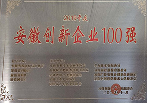 2019安徽创新企业100强