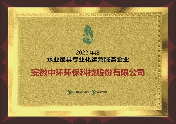 2022年度水业最具专业化运营服务企业